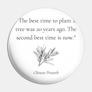 "The best time to plant a tree was 20 years ago. The second best time is now." - Chinese Proverb Inspirational Quote Pin