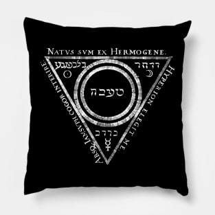 The Hermogene Alchemy and Magic Pillow