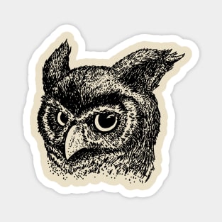 Vintage Owl Magnet