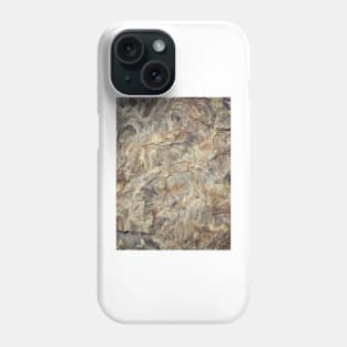 Geology Phone Case