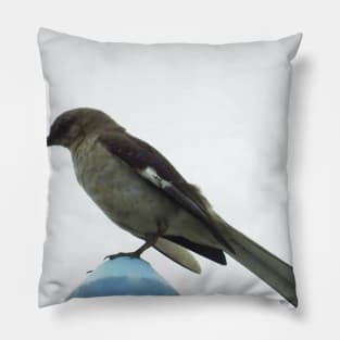 To feed a mockingbird Pillow