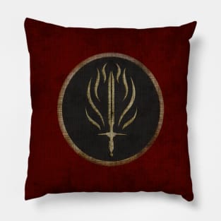 DA 22 - Red Templars Pillow