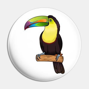 Keel-billed toucan bird cartoon illustration Pin