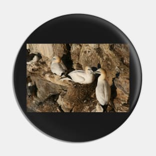 Nesting Pin