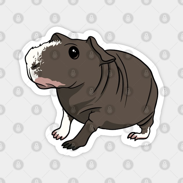 Lokai The Ark Piggie Magnet by The Ark Guinea Rescue