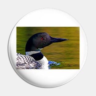 Loon closeup - Common Loon Pin