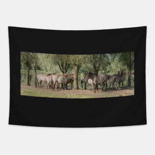 Why do horses sleep standing up? Tapestry