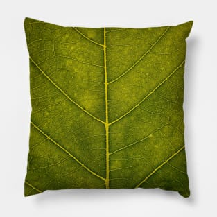 Leaf - HD Nature Pillow