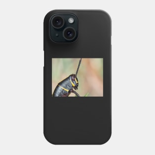 Florida lubber grasshopper Romalea microptera nymph Phone Case