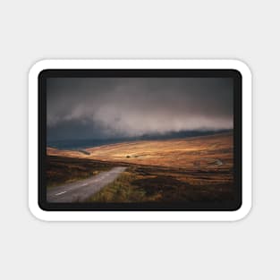 The golden landscape of Sally Gap Magnet