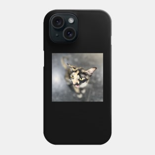 Tortoiseshell cat Phone Case