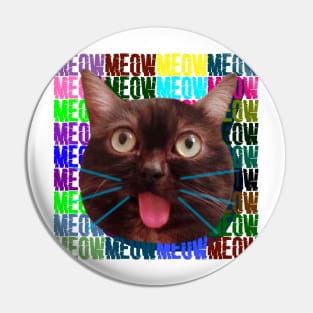 cat rofl meow mem space nature Pin