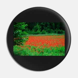 Poppy Field Pin