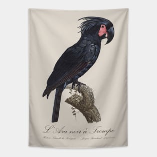 Palm Cockatoo Parrot / L' Ara Noir a Trompe - Jacques Barraband 19th century Illustration Tapestry