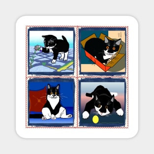 Cute Tuxedo Cat a patchwork kitty image  Copyright TeAnne Magnet