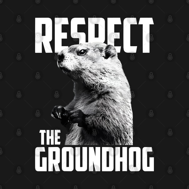 Respect The Groundhog Ground Hog Day by LEGO