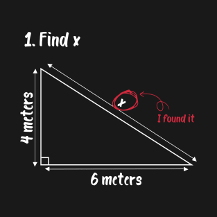 find x i found it Funny Math T-Shirt