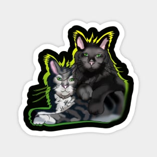 Black fluffy cat brothers with green eyes Magnet