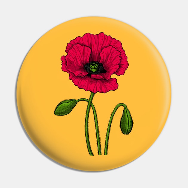 Red poppy drawing Pin by katerinamk