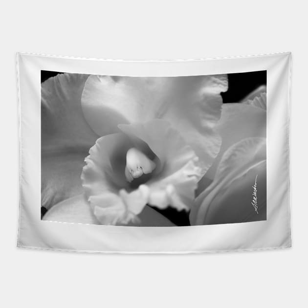 White Orchid Tapestry by srwdesign