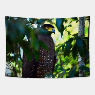 Eagle blue / Swiss Artwork Photography Tapestry