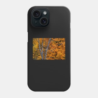 Autumn Foliage Phone Case