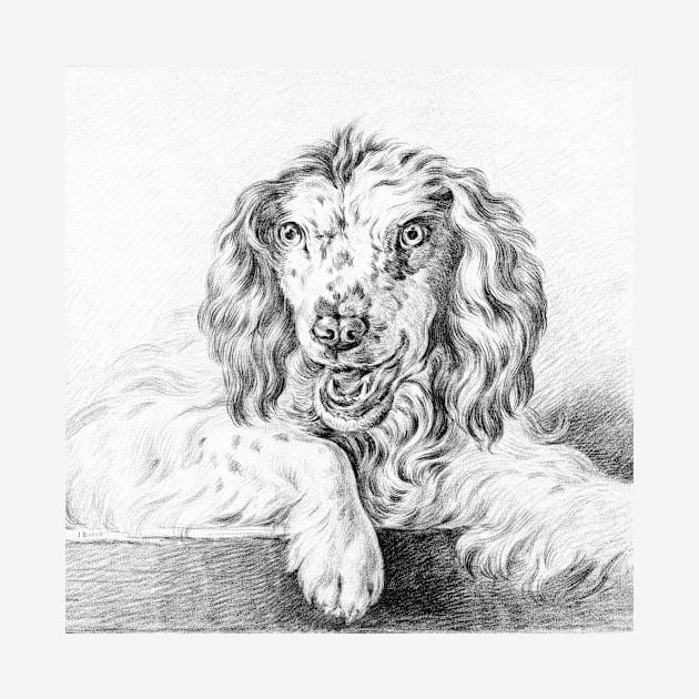 Dog by Jean Bernard by Vintage Sketches