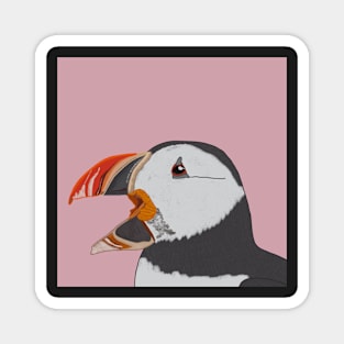 Atlantic Puffin Magnet