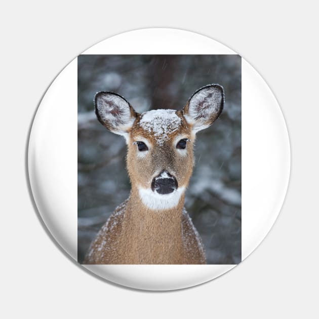 New Winter hat - White-tailed deer Pin by Jim Cumming