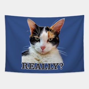 Cute Calico Cat with Attitude – Really? Tapestry