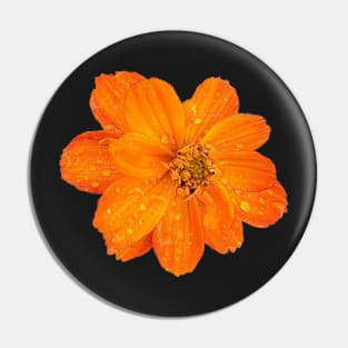 Vibrant Orange Sulfur Cosmos Pin