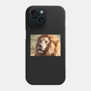 Lion Portrait Phone Case
