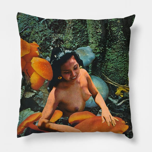 Pacific angle Pillow by Lilithcollageart