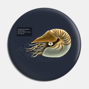 Chambered Nautilus Pin