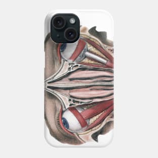 Vintage Science, Human Anatomy Eyeballs Phone Case