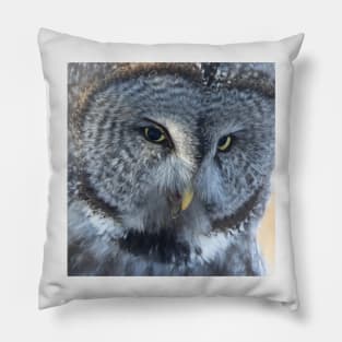 Great Gray Owl Pillow