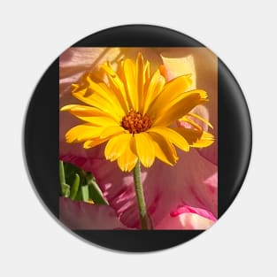 Rising Yellow Daisy Flower Pin