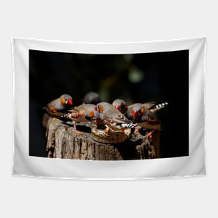 Zebra Finch Feeding Frenzy Tapestry