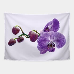 Purple Orchids With Buds Tapestry