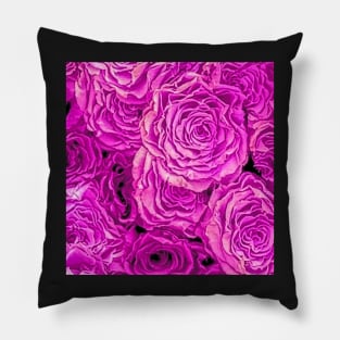 Bright Pink Roses Pillow