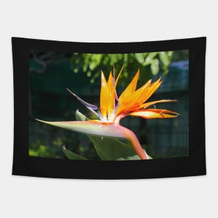 Bird of Paradise or Crane Lily Tapestry