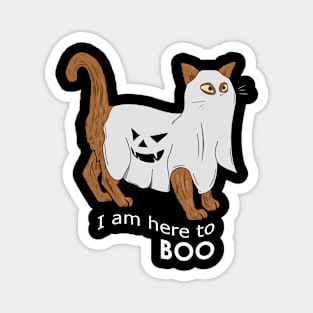 Halloween Cat is Here to Boo Magnet