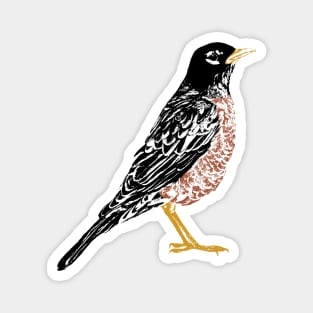 American Robin Litho edit Magnet