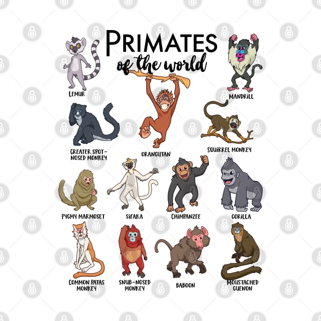 Different monkeys - types of primates by Modern Medieval Design