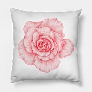 lovely rose Pillow