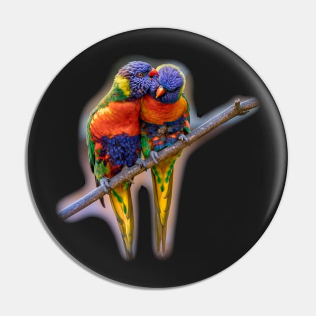 Kissing Parrots Pin by julyperson