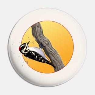 Downy Woodpecker Pecking Wood Pin