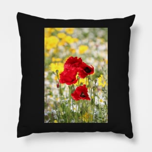 Poppy portrait Pillow