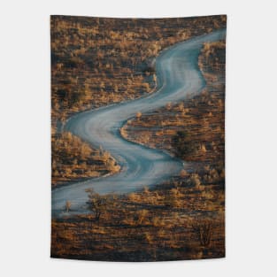 Desert Road Tapestry