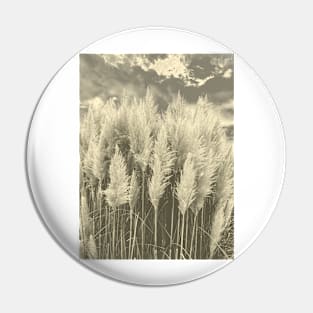 White Pampas Grass with dramatic sky above, nature sepia color photography Pin